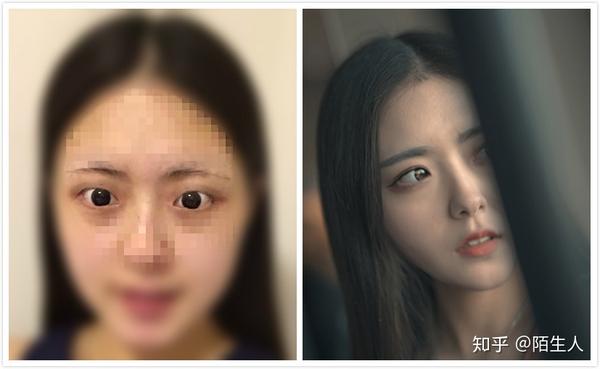哈尔滨养殖蜈蚣技术培训_哈尔滨有蜈蚣吗_哈尔滨蜈蚣养殖技术