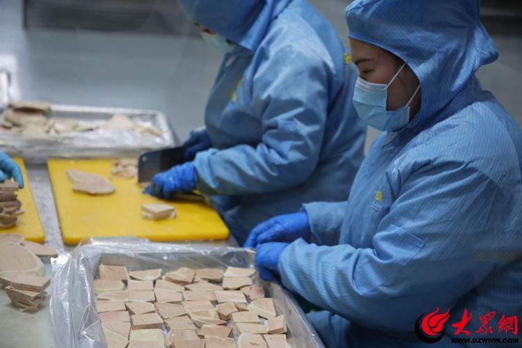 养殖鹅的视频_致富经鹅养殖技术视频_致富经朗德鹅养殖视频