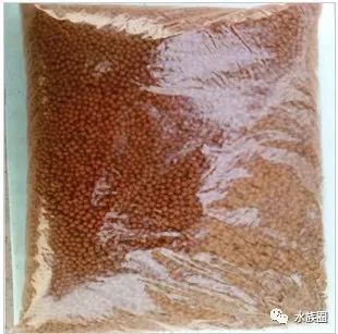 红线虫养殖技术视频教程大全_红线虫养殖的技术_红线虫养殖技术培训