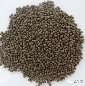 红线虫养殖技术视频教程大全_红线虫养殖技术培训_红线虫养殖的技术