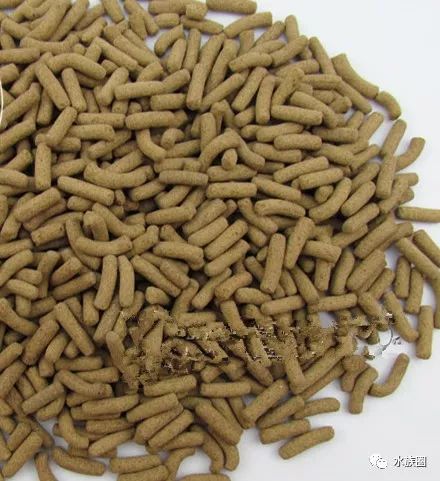 红线虫养殖的技术_红线虫养殖技术培训_红线虫养殖技术视频教程大全