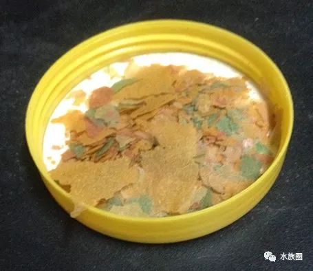红线虫养殖的技术_红线虫养殖技术视频教程大全_红线虫养殖技术培训