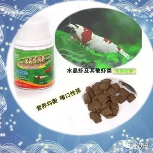 红线虫养殖的技术_红线虫养殖技术视频教程大全_红线虫养殖技术培训