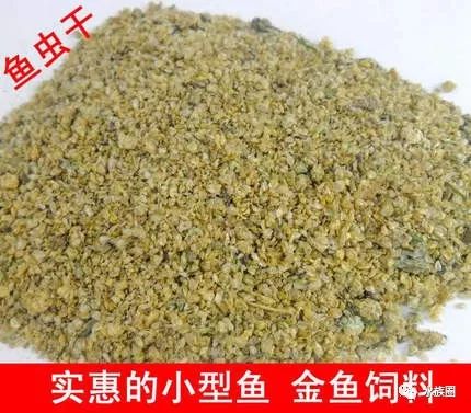 红线虫养殖技术视频教程大全_红线虫养殖的技术_红线虫养殖技术培训