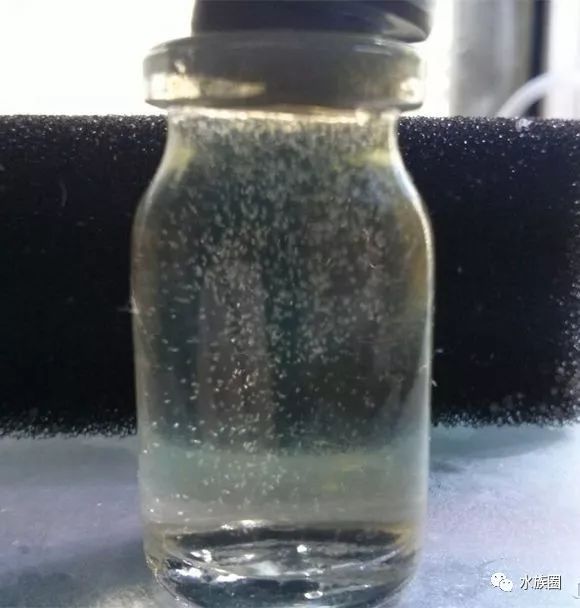 红线虫养殖技术培训_红线虫养殖的技术_红线虫养殖技术视频教程大全