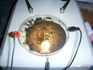 红线虫养殖技术视频教程大全_红线虫养殖技术培训_红线虫养殖的技术