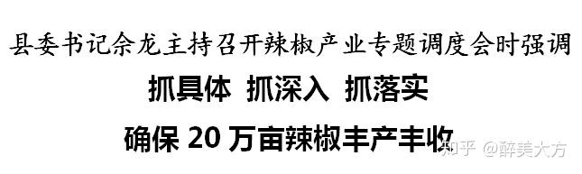 辣椒致富经_种植辣椒致富增收_辣椒种植赚钱吗