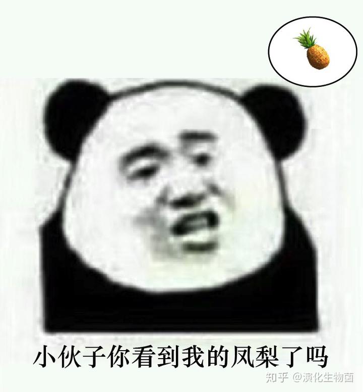 致富经养殖兰花_兰花致富经_养兰致富经