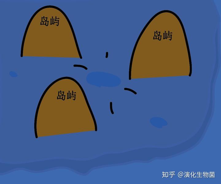 养兰致富经_致富经养殖兰花_兰花致富经