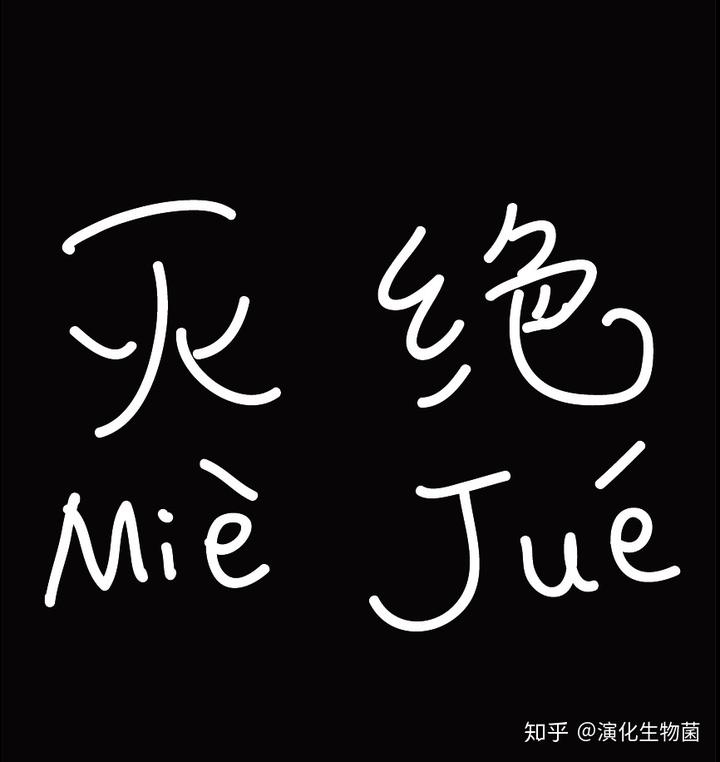 致富经养殖兰花_兰花致富经_养兰致富经