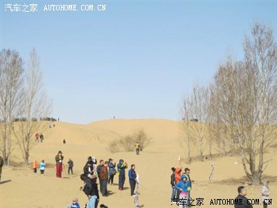 内蒙包头沙漠_沙漠包头_致富经包头沙漠鸡