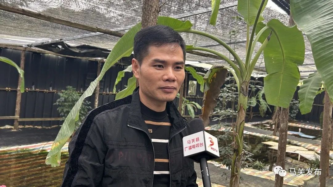 养殖青蛙致富之路_养殖青蛙致富之路_养殖青蛙致富之路