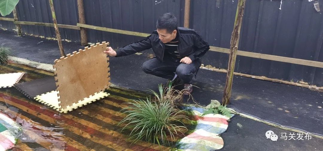 养殖青蛙致富之路_养殖青蛙致富之路_养殖青蛙致富之路