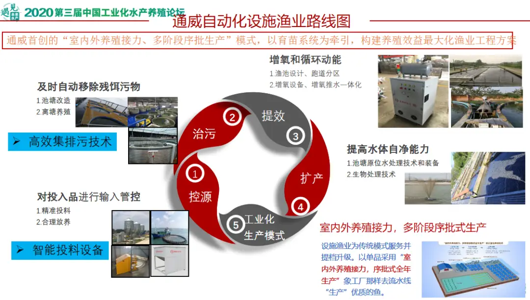 草鱼高密度养殖技术视频-标清_草鱼的高密度养殖_高密度草鱼养殖技术