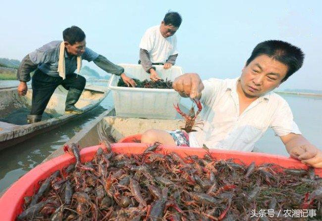 生态养殖的原理和特征_生态养殖你想怎么学_原生态养殖技术