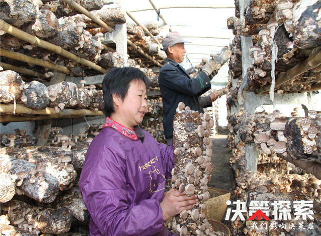 西峡养殖致富_农村致富养殖信息_养殖致富经