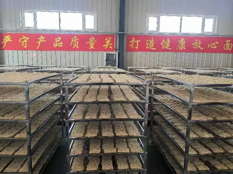农村致富养殖_致富养殖各种面食_致富养殖面食图片