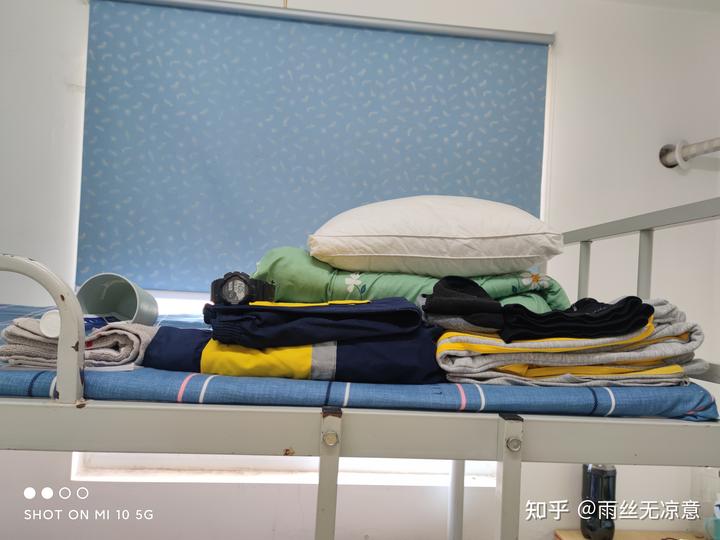 宿舍致富养殖_宿舍养猪图片_宿舍致富项目