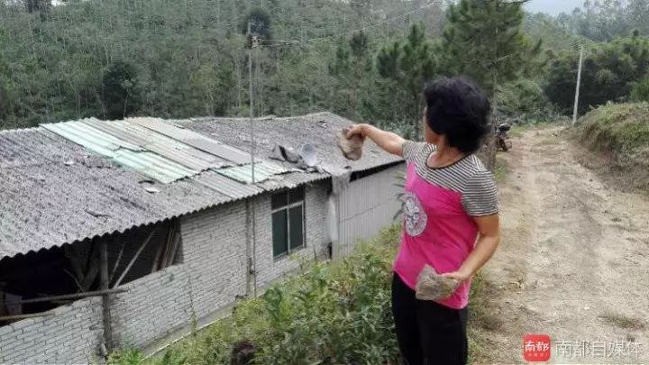 洋姑娘种植致富_致富种植视频全集_致富经种养结合视频