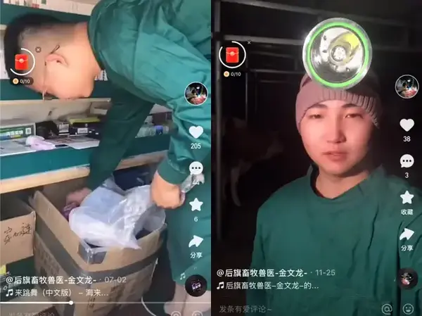 致富羊养殖视频_养羊致富经视频_视频致富养殖羊骗局