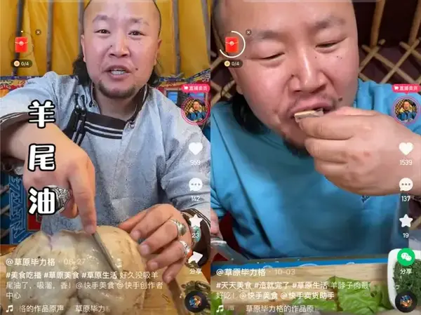 视频致富养殖羊骗局_养羊致富经视频_致富羊养殖视频