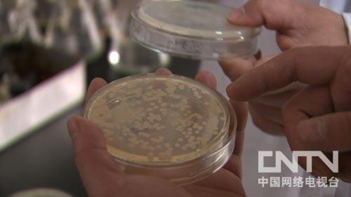 都市白领亚健康数据_都市白领论坛_致富经都市白领的屎黄金