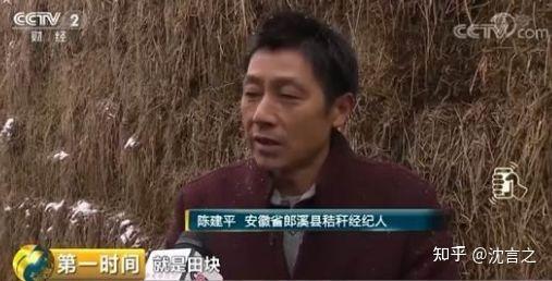 农村秸秆加工_秸秆加工项目_致富经秸秆加工视频