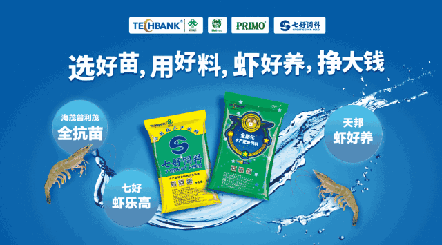 腊鱼的养殖技术_腊鱼养殖技术_腊鱼养殖条件