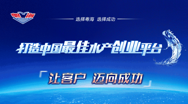 低风险，高利润！对虾养殖亟需转型情况下，这种模式或成最大赢家