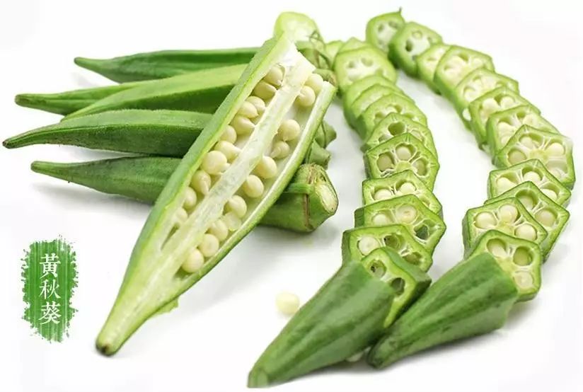 秋葵种植视频方法密度和产量_秋葵种植视频教程_黄秋葵种植技术视频