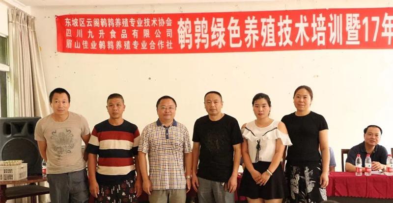 致富经鹌鹑养殖_致富养殖鹌鹑图片欣赏_鹌鹑养殖致富图片