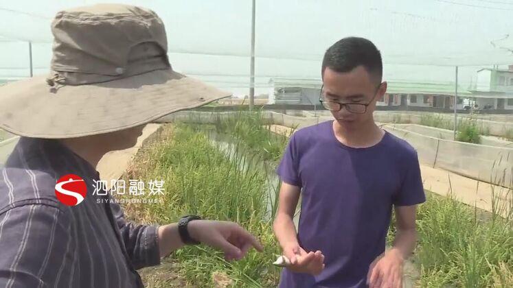 致富养娃攻略_致富经青娃养殖_致富经养殖