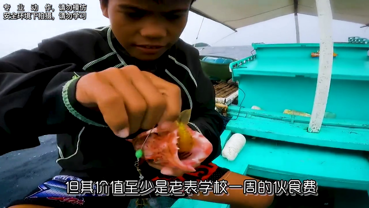 斑老鼠养殖幼苗技术与管理_老鼠斑幼苗养殖技术_老鼠斑养殖技术视频