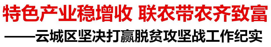花卉致富增收种植措施_种植花卉增收致富_花卉致富增收种植方案