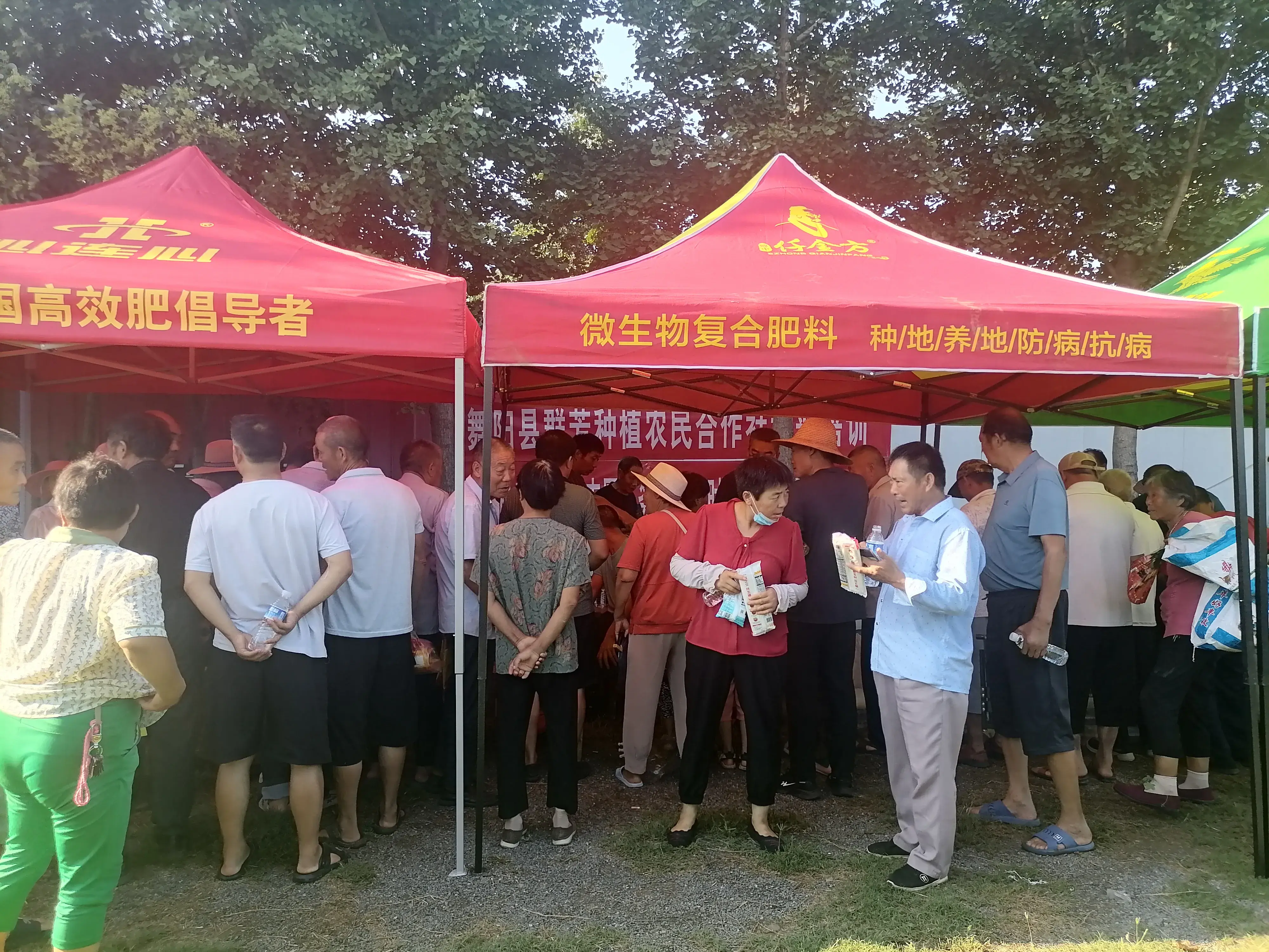 优质作物推广成效及经验_推广农作物_如何推广作物品种