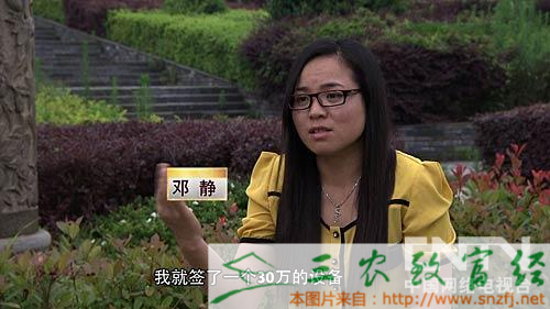 竹子种植项目_种植竹子 致富_致富竹子种植技术视频