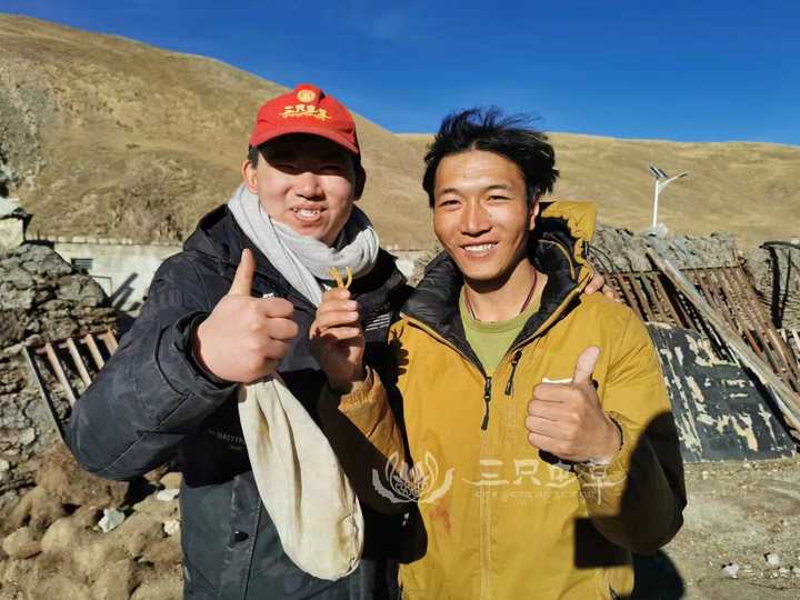 冬虫夏草的养殖技术_冬虫夏草人工养殖_冬虫夏草养殖技术视频