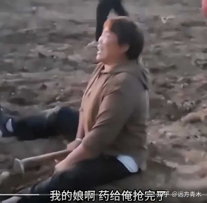 种植药材致富好地方_药材种植的致富带头人_药材种植致富项目