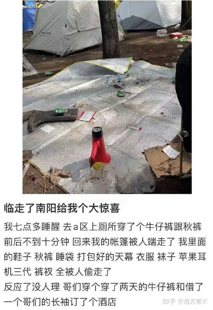 药材种植的致富带头人_药材种植致富项目_种植药材致富好地方