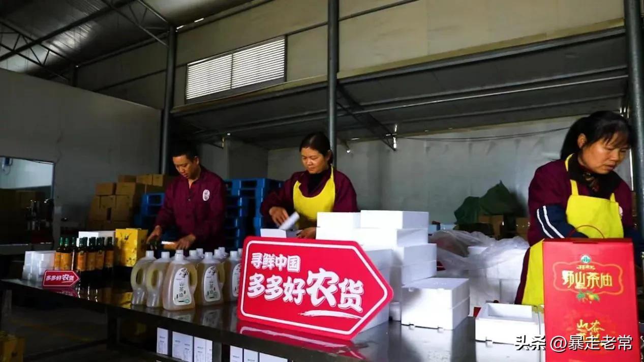 致富大山农民图片大全_致富农村_大山农民的致富经