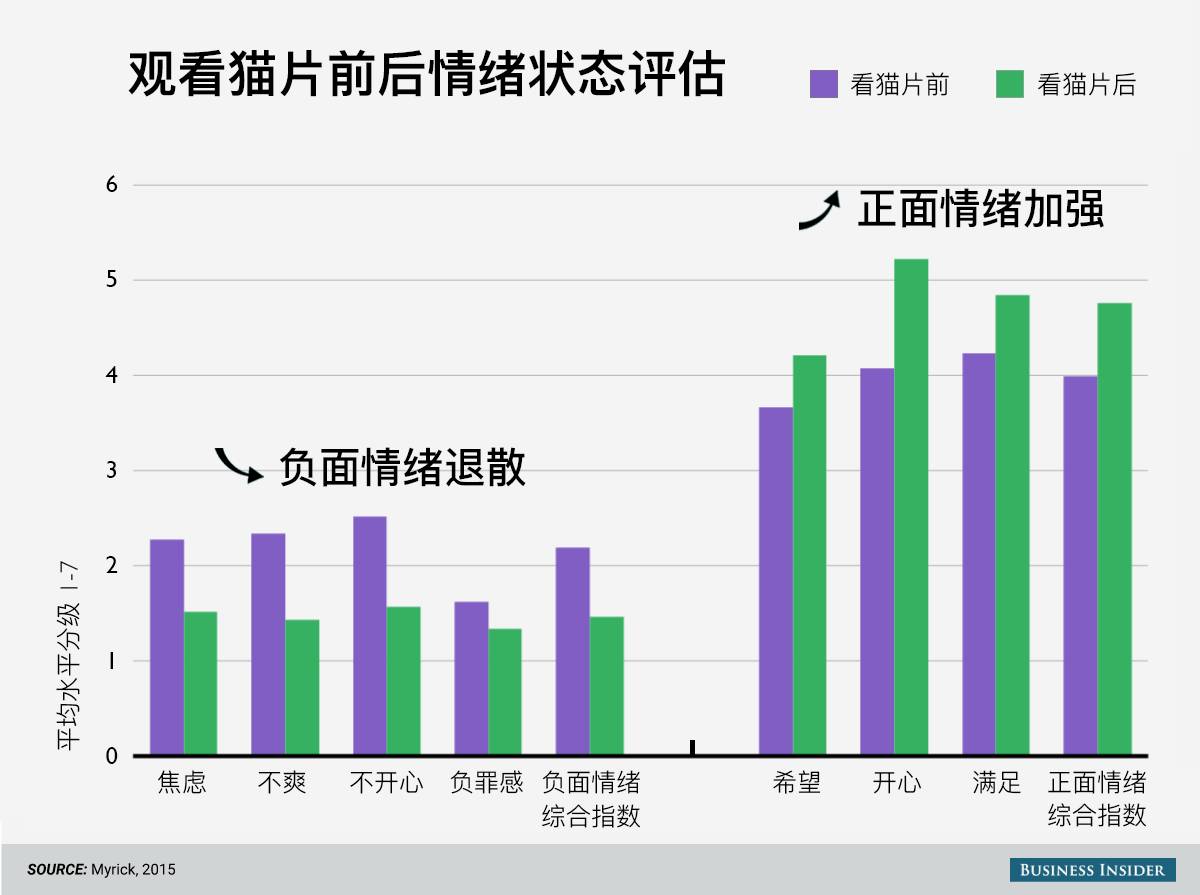 养狗场视频致富经_视频致富养殖宠物狗是真的吗_致富经宠物狗养殖视频