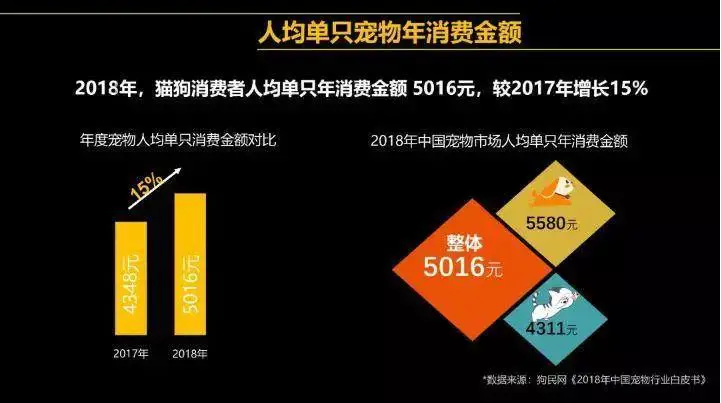 视频致富养殖宠物狗在线观看_养狗场视频致富经_致富经宠物狗养殖视频