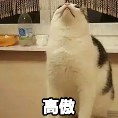 视频致富养殖宠物狗在线观看_养狗场视频致富经_致富经宠物狗养殖视频
