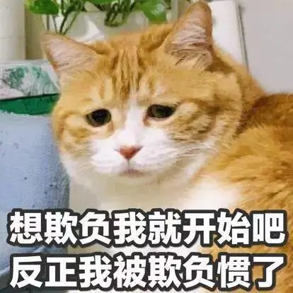 视频致富养殖宠物狗在线观看_养狗场视频致富经_致富经宠物狗养殖视频