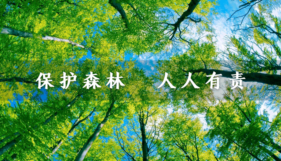 原鸡养殖技术视频_养鸡视频大全_鸡养殖视频教程