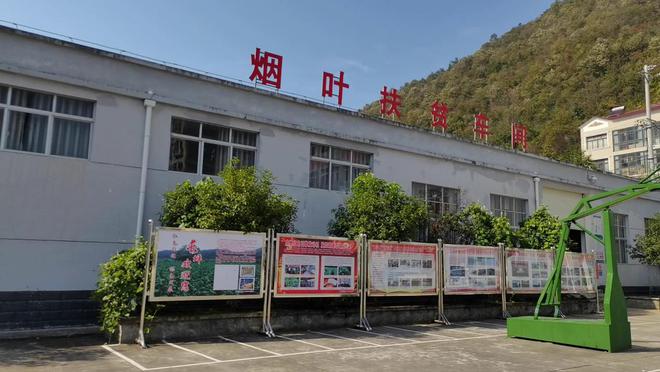 湖北农村种植什么赚钱不愁销路_湖北农村致富好项目_湖北农村种植致富
