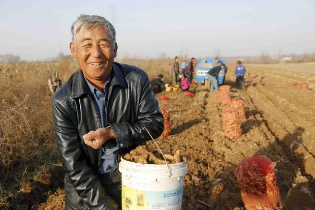 农村环保种植致富_种植环保主题_致富种植环保农村有补贴吗