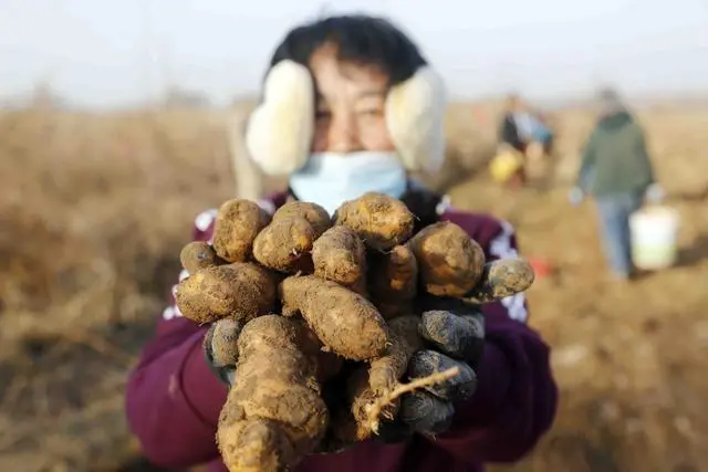 种植环保主题_致富种植环保农村有补贴吗_农村环保种植致富