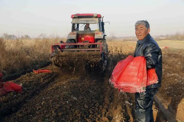 种植环保主题_农村环保种植致富_致富种植环保农村有补贴吗