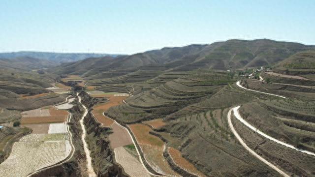 农村致富新项目种植业_农村环保种植致富_种植环保主题
